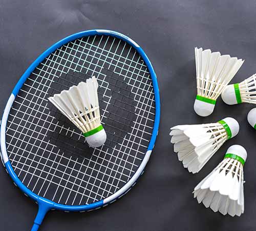 瑞安的成功 瑞安的成功